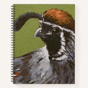 Carnet La caille de Gambel