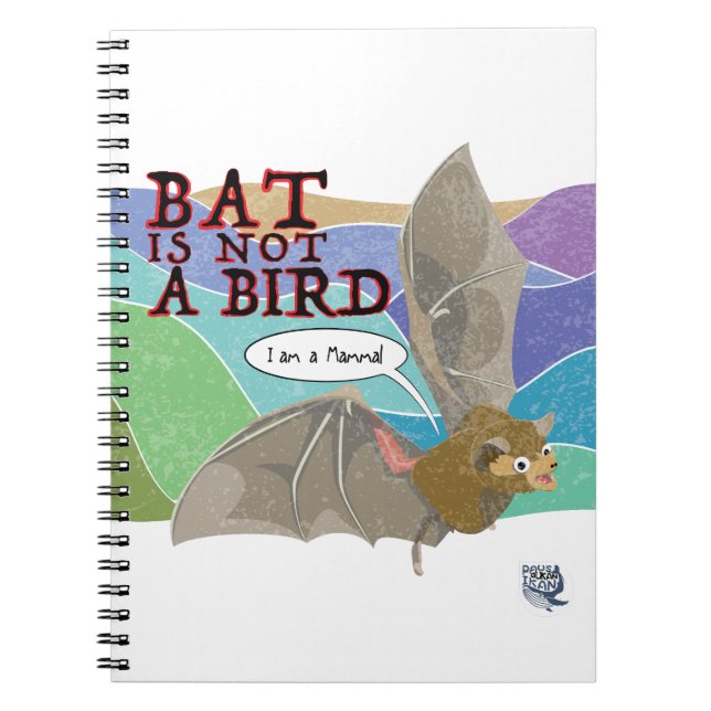 Carnet La chauve-souris n'est pas un oiseau (Devant)