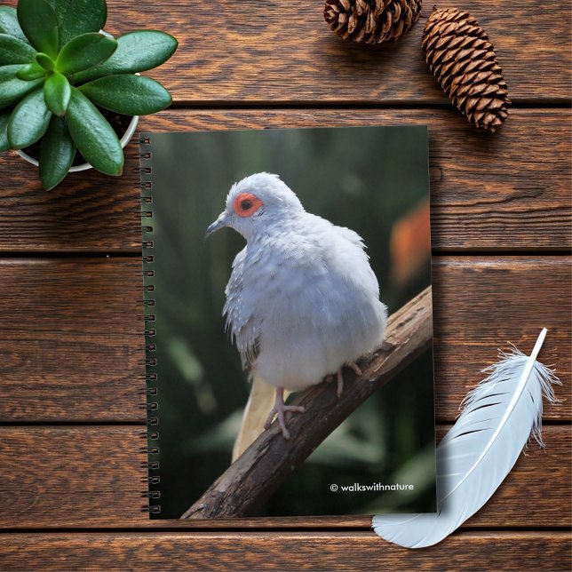 Carnet La colombe de diamant sous les projecteurs (Diamond Dove in the Spotlight Journal Cover Photo)