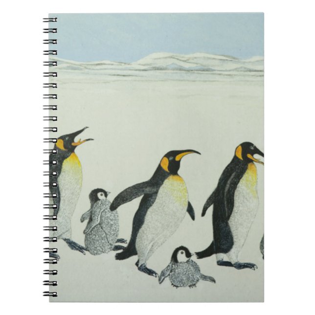 Carnet La courbe d'apprentissage (Devant)