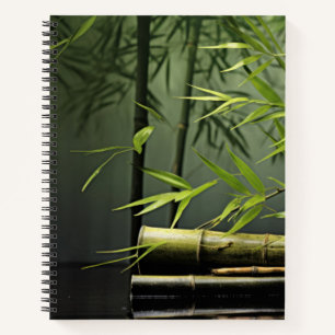 Carnet La forêt de Bambou Nature paisible