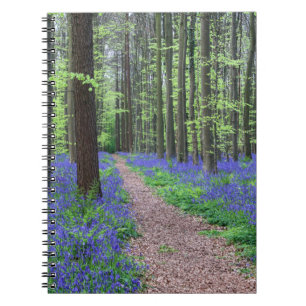 Carnet La forêt de Halle   Halle, Belgique