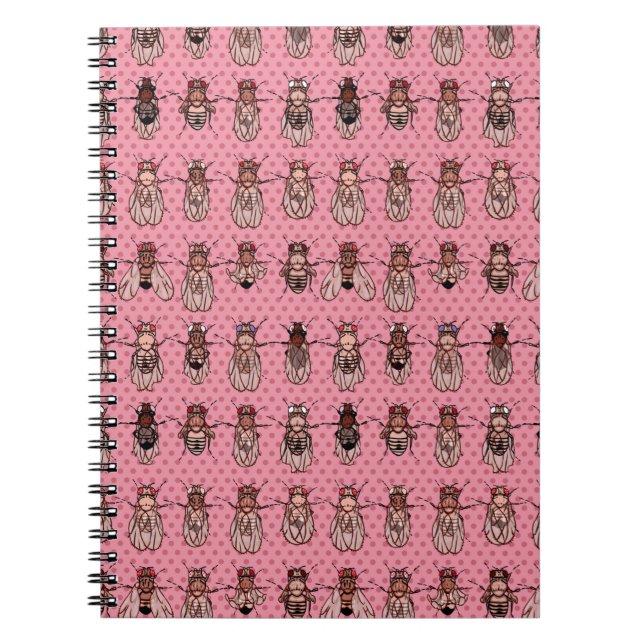 Carnet La génétique de mouche à fruit de drosophile - (Devant)
