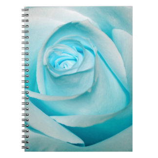Carnet La glace de turquoise s'est levée