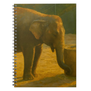 Carnet La paire d'éléphants dans le cadre du sanctuaire