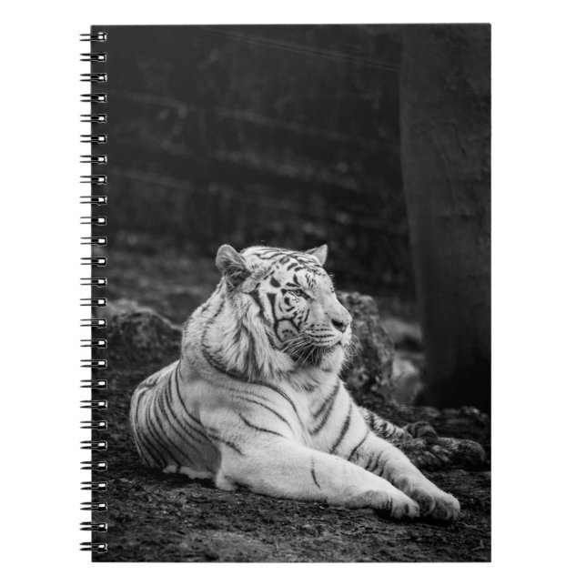 CARNET LA PENSÉE DU TIGRE (Devant)
