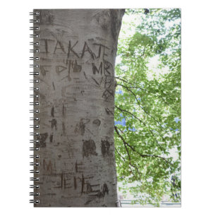 Carnet La photographie de la nature sculptée dans un arbr