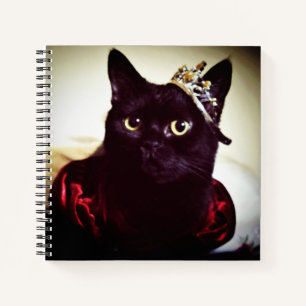 Carnet La princesse Kitty