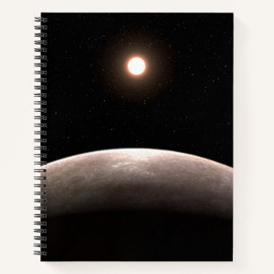 Carnet La Rocky Exoplanet Lhs 475 B Et Son Étoile Hôte.
