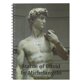 Carnet La statue de David de Michelangelo