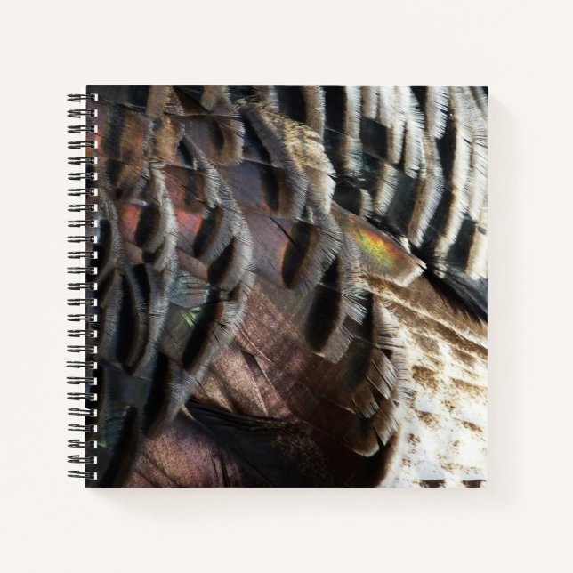 Carnet La Turquie sauvage Plumes I Abstrait Nature Design (Devant)