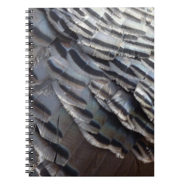 Carnet La Turquie sauvage plumes II Design Abstrait de la (Devant)