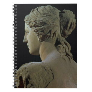 Carnet La Vénus de Milo, détail du dos de la tête, Hel
