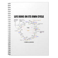 La Vie Fonctionne Sur Son Propre Cycle Krebs Cycle