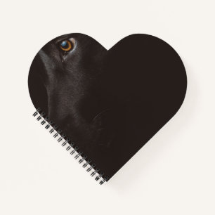 Carnet laboratoire noir