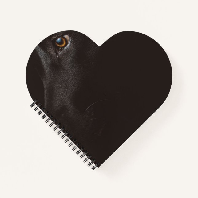 Carnet laboratoire noir (Devant)