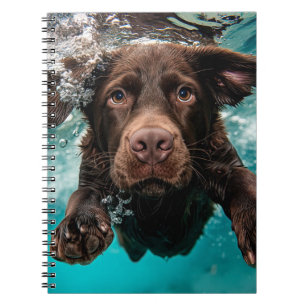 Carnet Labrador chocolat joueur nageant sous l'eau
