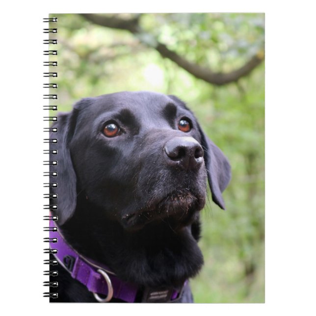 Carnet Labrador noir (Devant)
