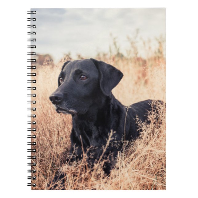 Carnet Labrador Noir En Graine Sèche (Devant)
