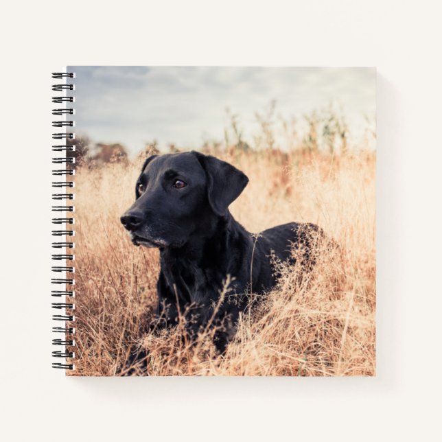 Carnet Labrador Noir En Graine Sèche (Devant)