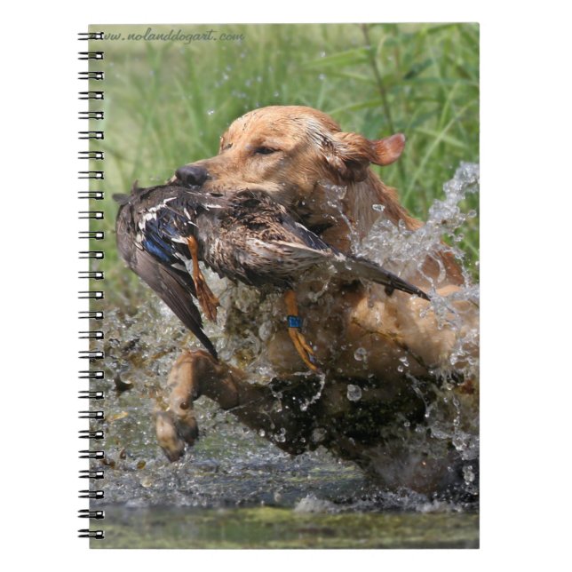 Carnet Labrador retriever jaune avec le canard (Devant)