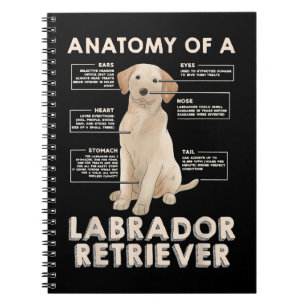 Carnet Labrador Retriever Lover Anatomie amusante d'un La