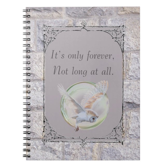 Carnet Labyrinthe C'est seulement un hibou pour toujours (Devant)