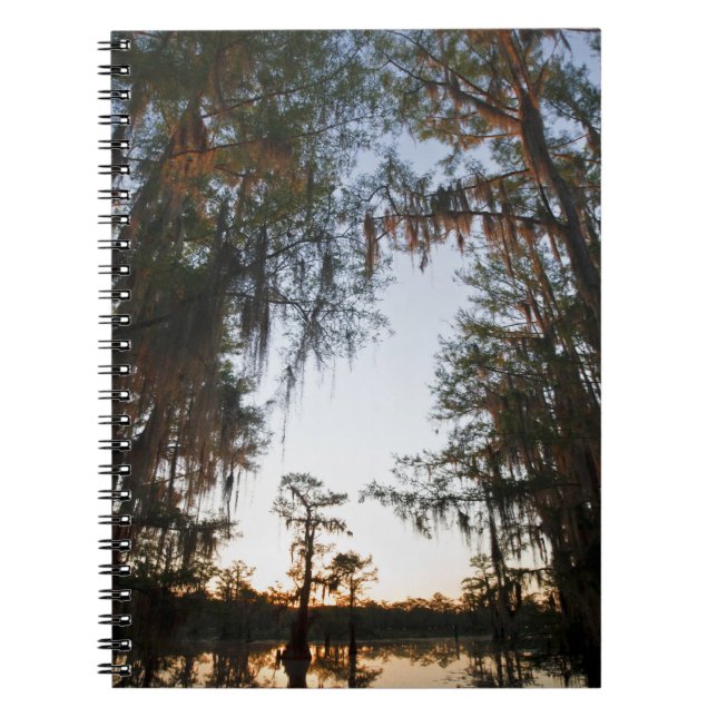 Carnet Lac Caddo au lever du soleil (Devant)