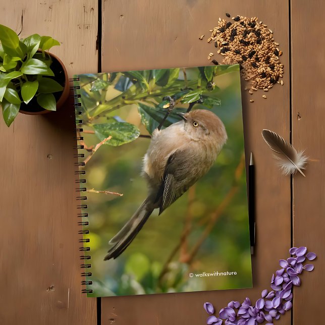 Carnet Lady Bushtit sur la Californie Lilac Bush (Lady Bushtit on the California Lilac Journal Cover Photo)