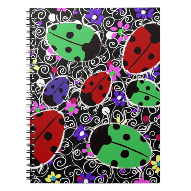 Carnet Ladybug (Devant)