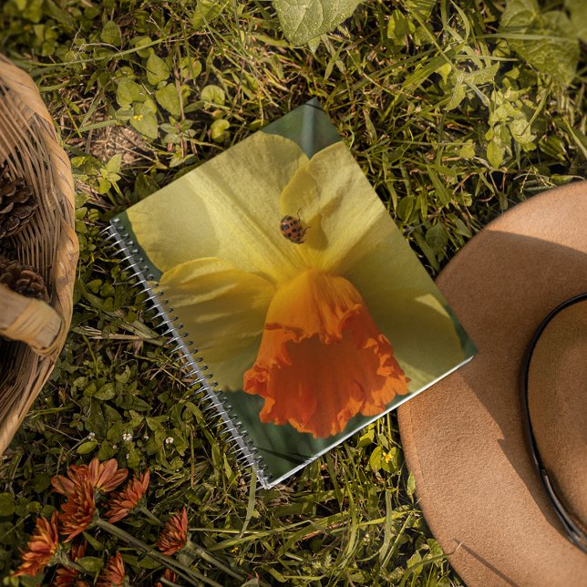 Carnet Ladybug sur la jonquille jaune Floral (In Situ)