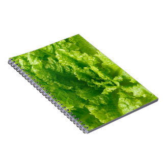 Carnet Laitue