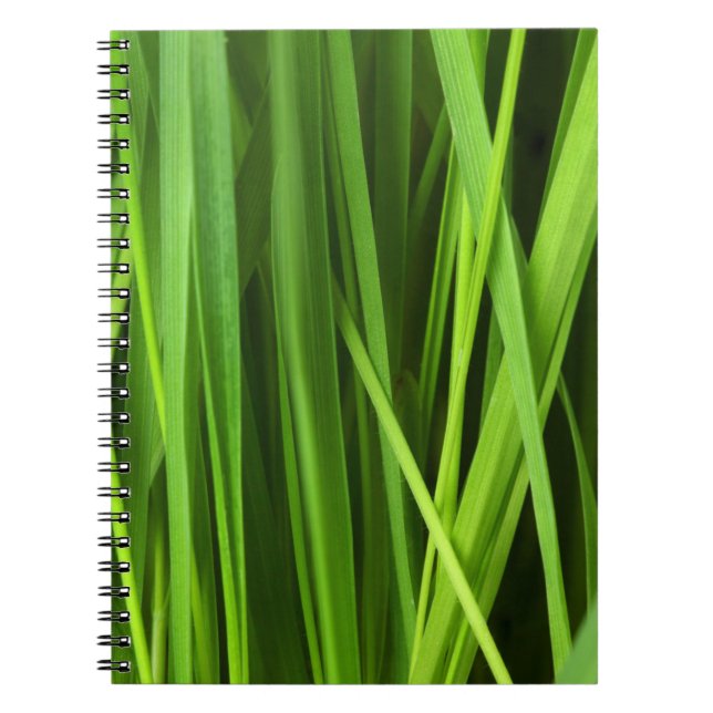 Carnet Lames d'herbe (Devant)