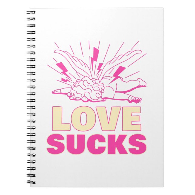 Carnet L'amour est nul (Devant)
