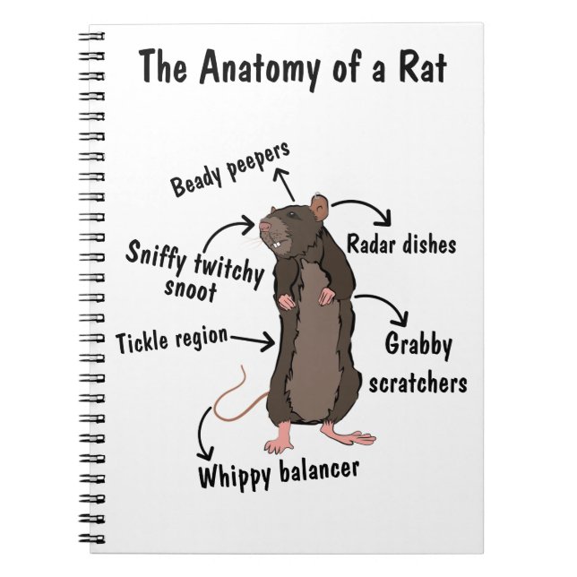 Carnet L'anatomie d'un rat (Devant)