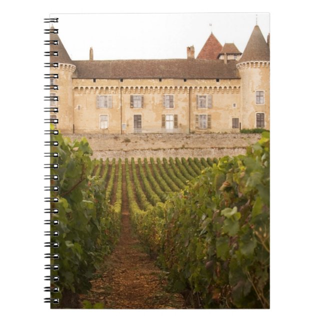 Carnet L'ancien château médiéval de Rully dans la Cote (Devant)