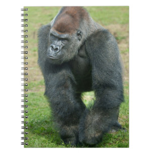 Carnet Langage de force du gorille
