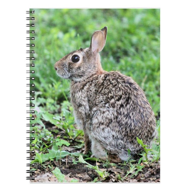 Carnet Lapin (Devant)