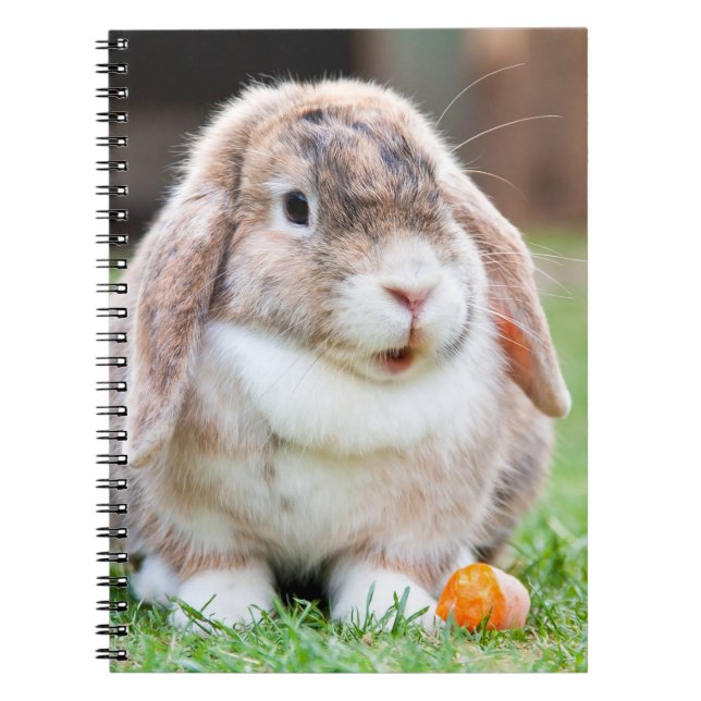 Carnet lapin à oreilles de lop mignon (Devant)