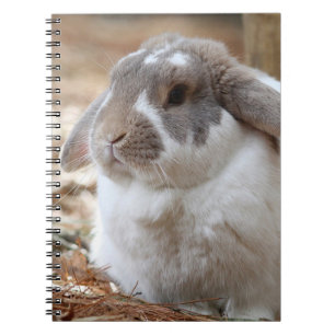 Carnet Lapin aux oreilles tombantes