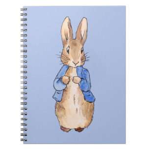 Carnet Lapin classique en veste bleue