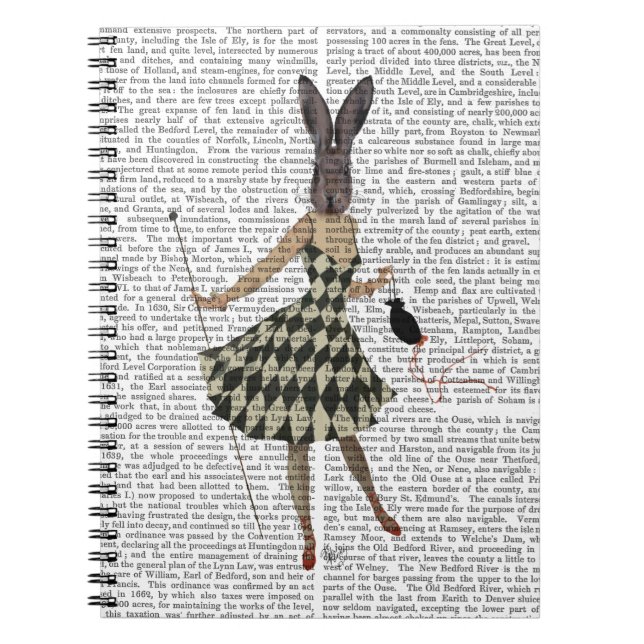 Carnet Lapin dans la robe blanche noire (Devant)