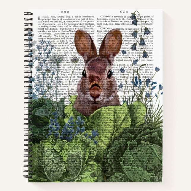 Carnet Lapin dans une patte de chou (Devant)