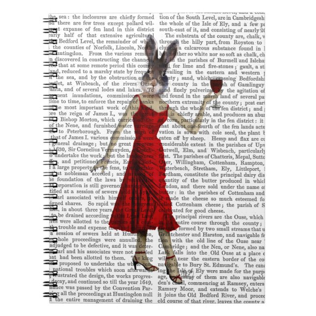 Carnet Lapin en robe rouge (Devant)