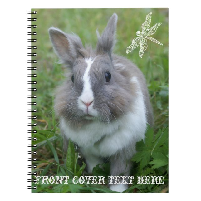 Carnet Lapin lapin (Devant)