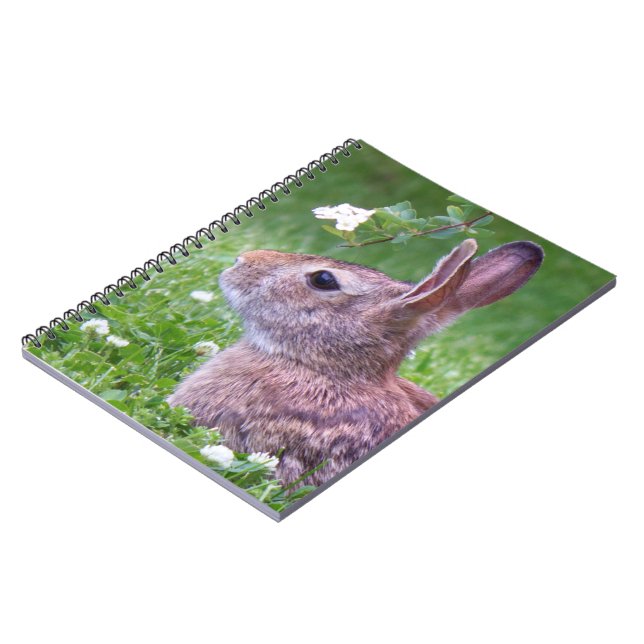 Carnet Lapin lapin en Grass Printemps de la photographie  (Côté gauche)