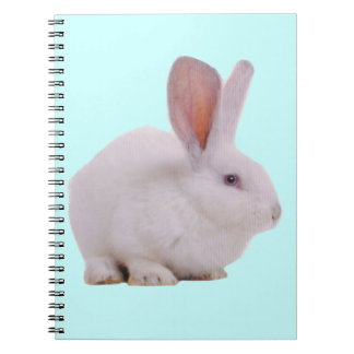 Carnet Lapin Mignon Kawaii