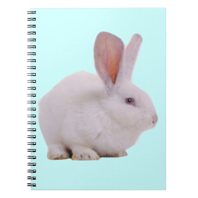 Carnet Lapin Mignon Kawaii (Devant)