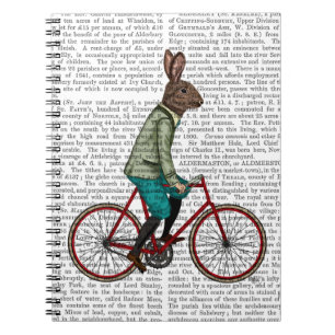 Carnet Lapin sur le vélo 2