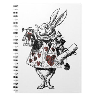 Carnet Lapins blancs des coeurs - Alice au pays des